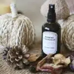 Flacon ambré de brume d'ambiance Pomme Cannelle Atelier Louis 100 ml, posé sur un set en fibres tressées entre deux citrouilles décoratives, avec pommes de pin, bâtons de cannelle, rondelles de pomme séchée et marrons